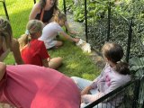 Petting bunnies
