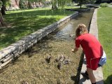 Feeding the ducks in Lititz