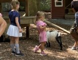 Checking out the petting zoo in Lititz
